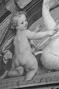 Wall_Art_Alphabet_Photography_Art_ 219